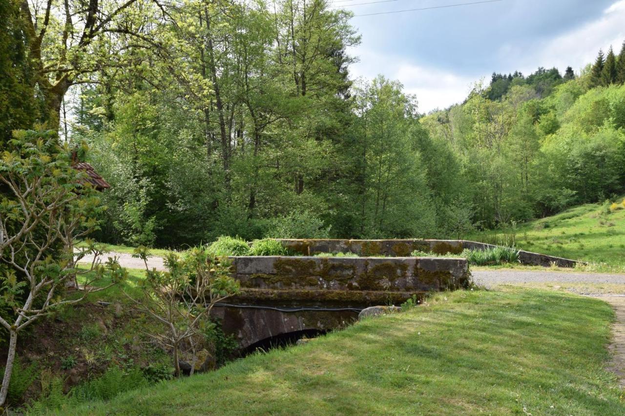 Vacance Conviviales Dans Les Vosges 8 Gites Ban-de-Sapt Exterior photo
