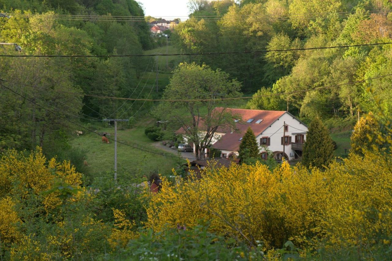 Vacance Conviviales Dans Les Vosges 8 Gites Ban-de-Sapt Exterior photo