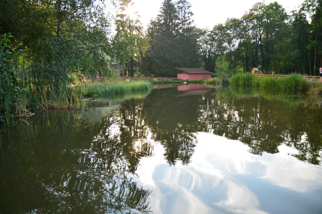 Vacance Conviviales Dans Les Vosges 8 Gites Ban-de-Sapt Exterior photo